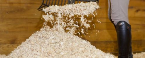 Now is the Time : Shavings